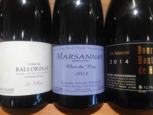 cotes de Nuits